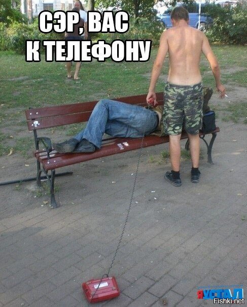 Из солянки