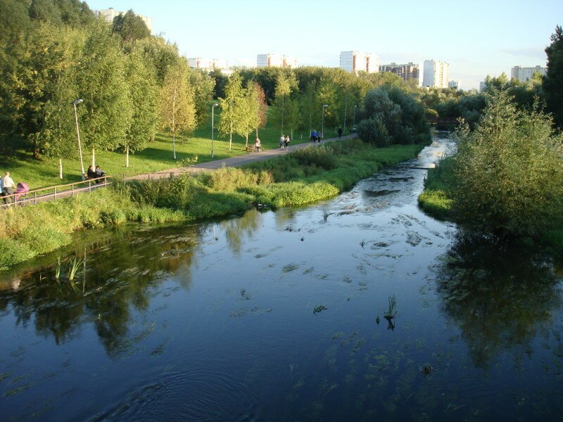 Красота рядом с нами