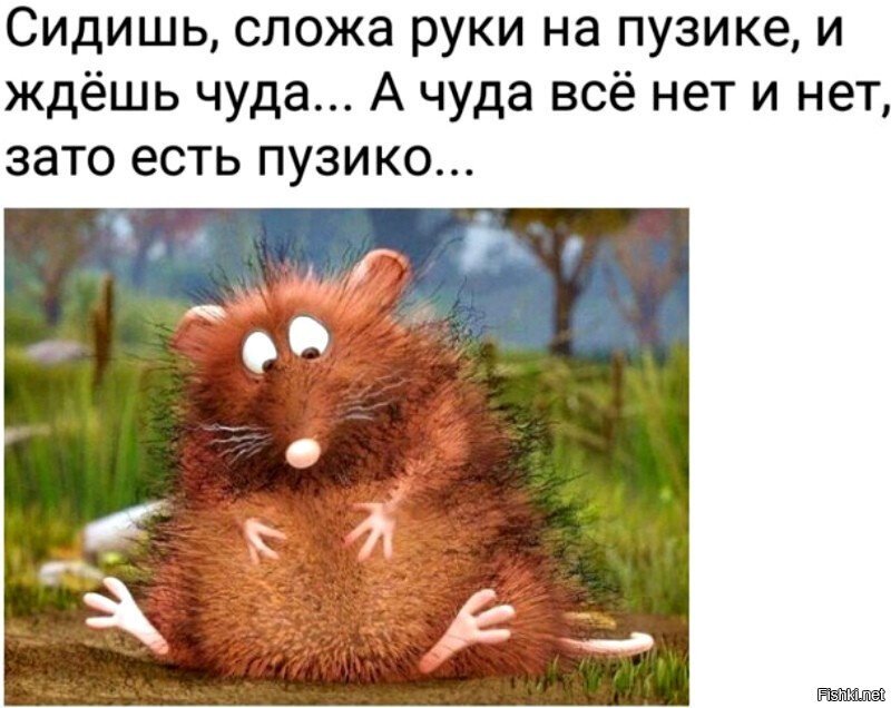 Из солянки