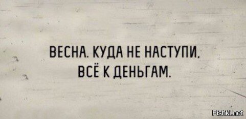 Из солянки