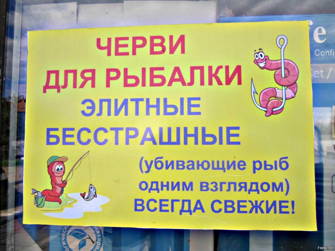 Из солянки