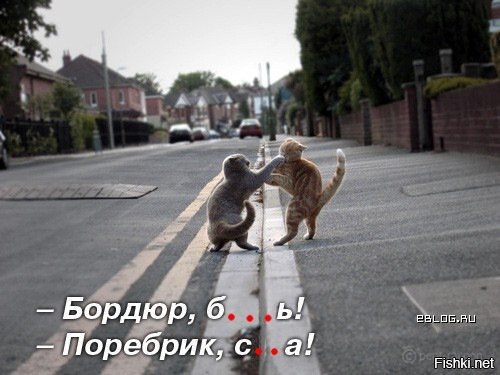 Из солянки