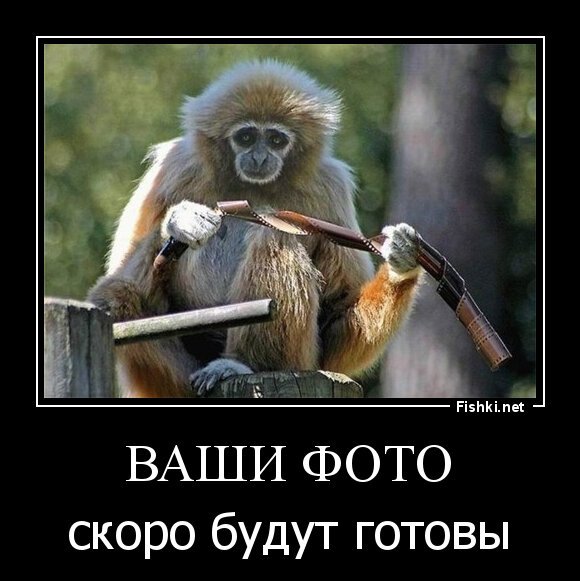 ваши фото