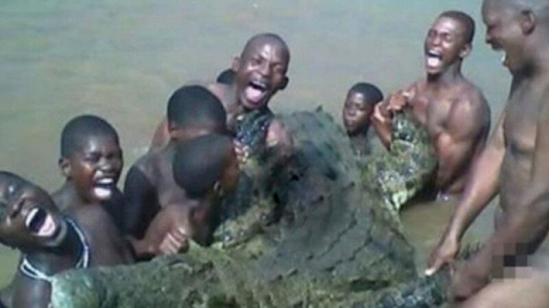 В ЮАР три брата погибли при попытке изнасиловать крокодила