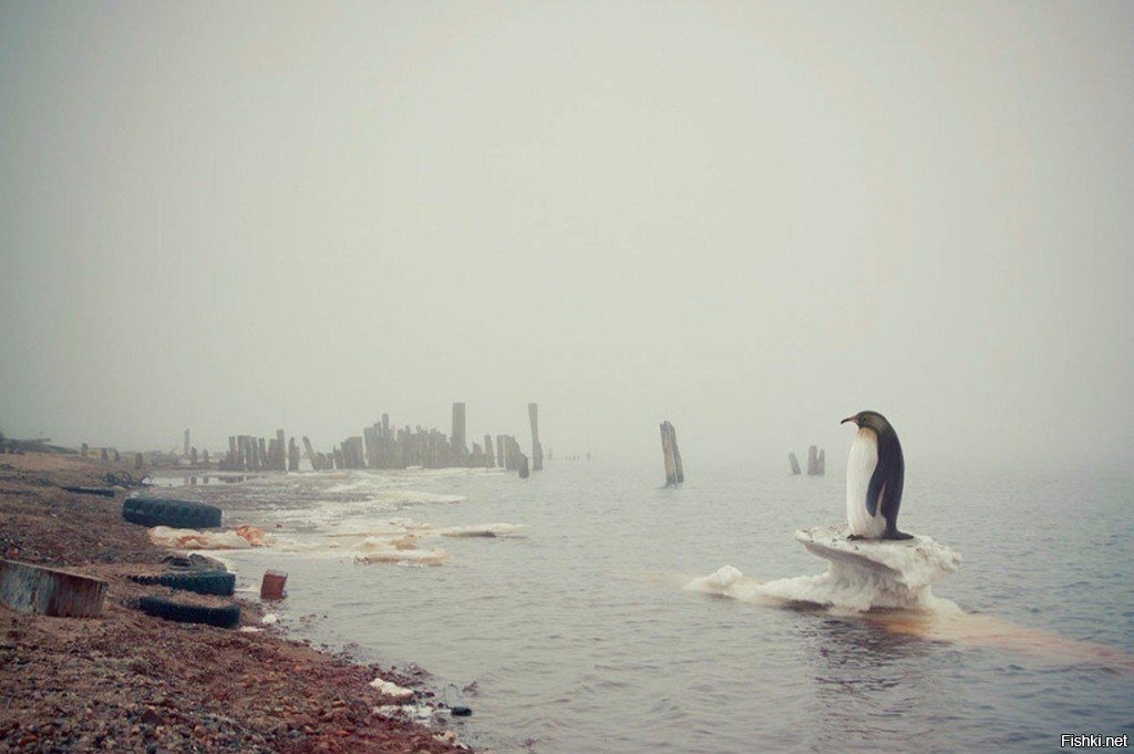 Приплыли
