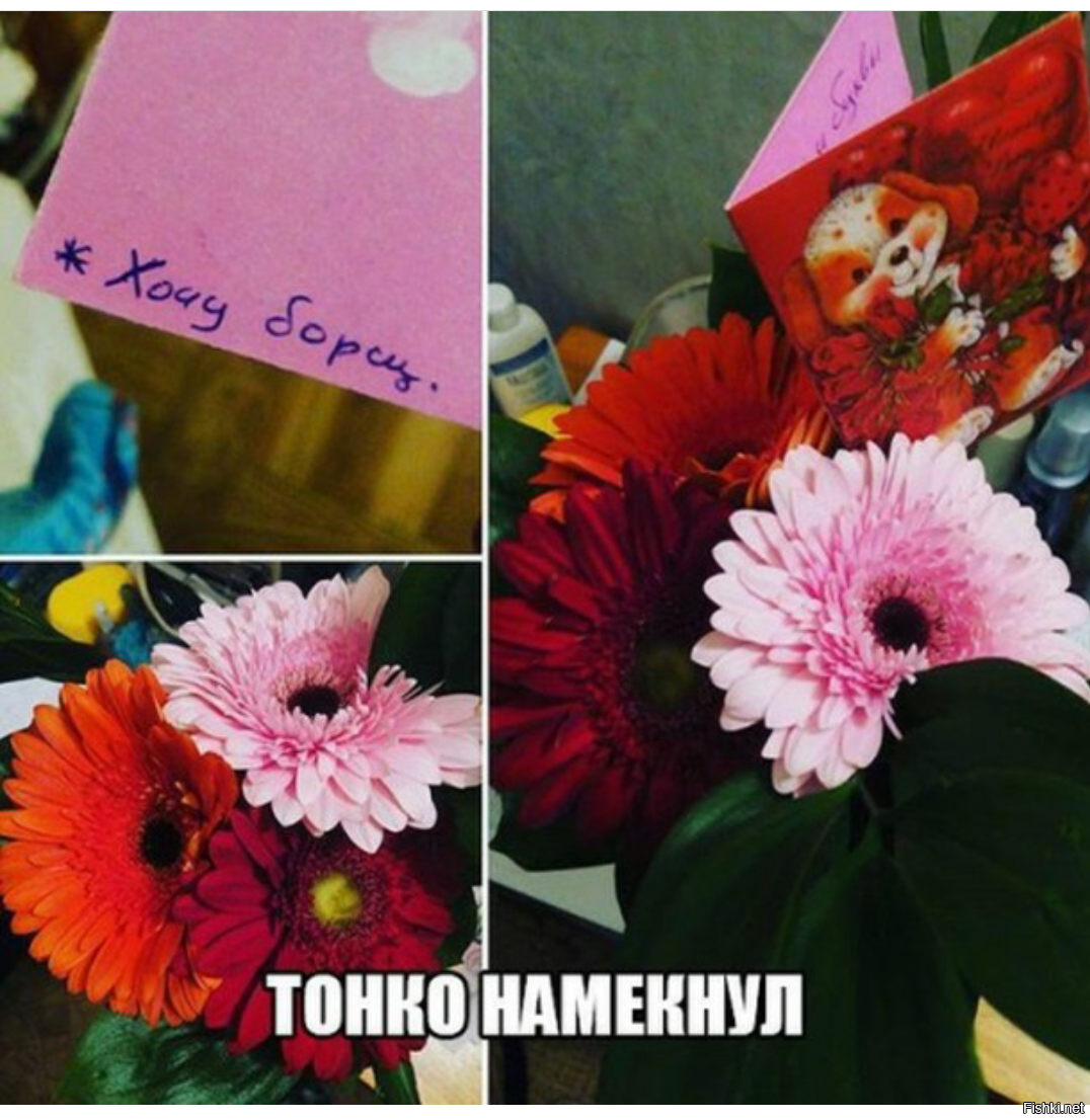Из солянки