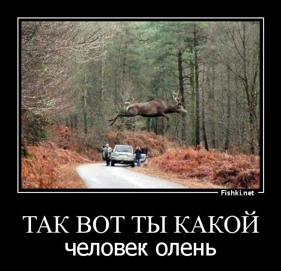 так вот ты какой