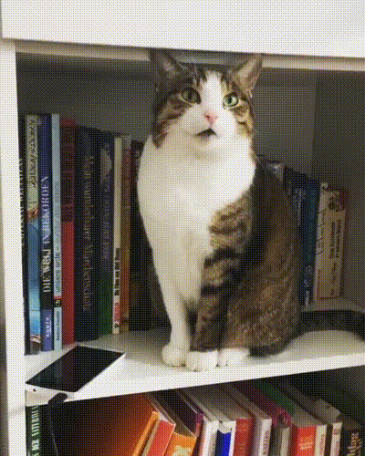 Телефону не место среди книг
