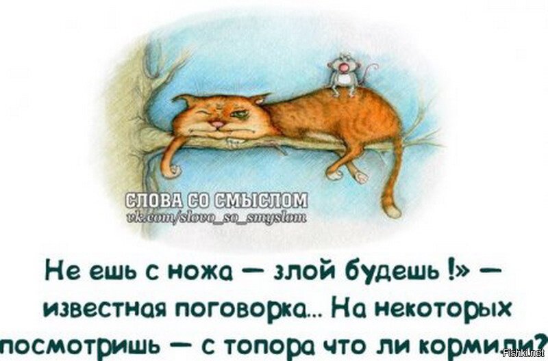 Из солянки
