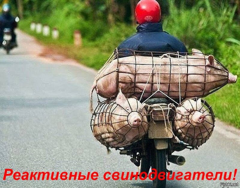 Из солянки