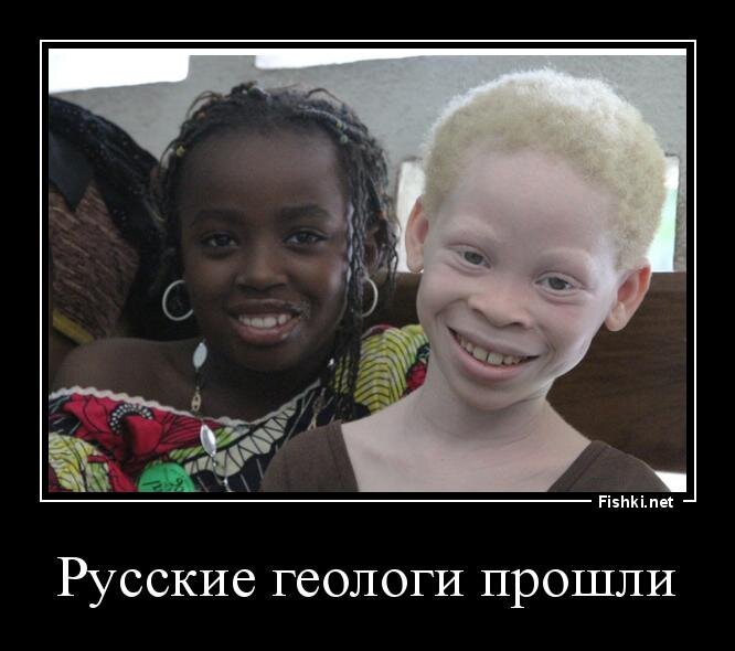 Из солянки