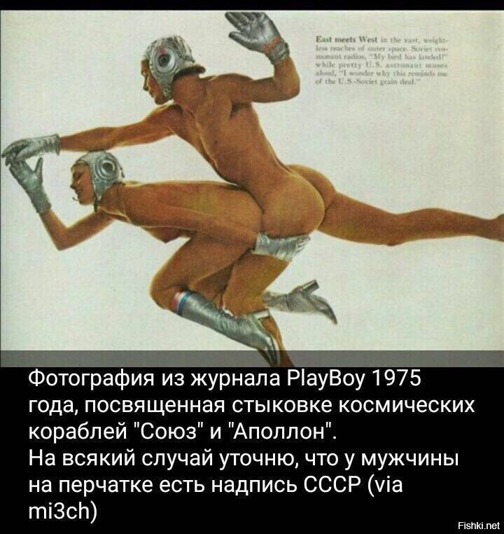 Из солянки