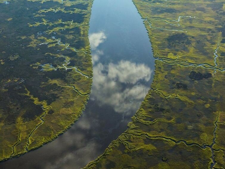 Лучшие фотографии дикой природы от National Geographic 2017