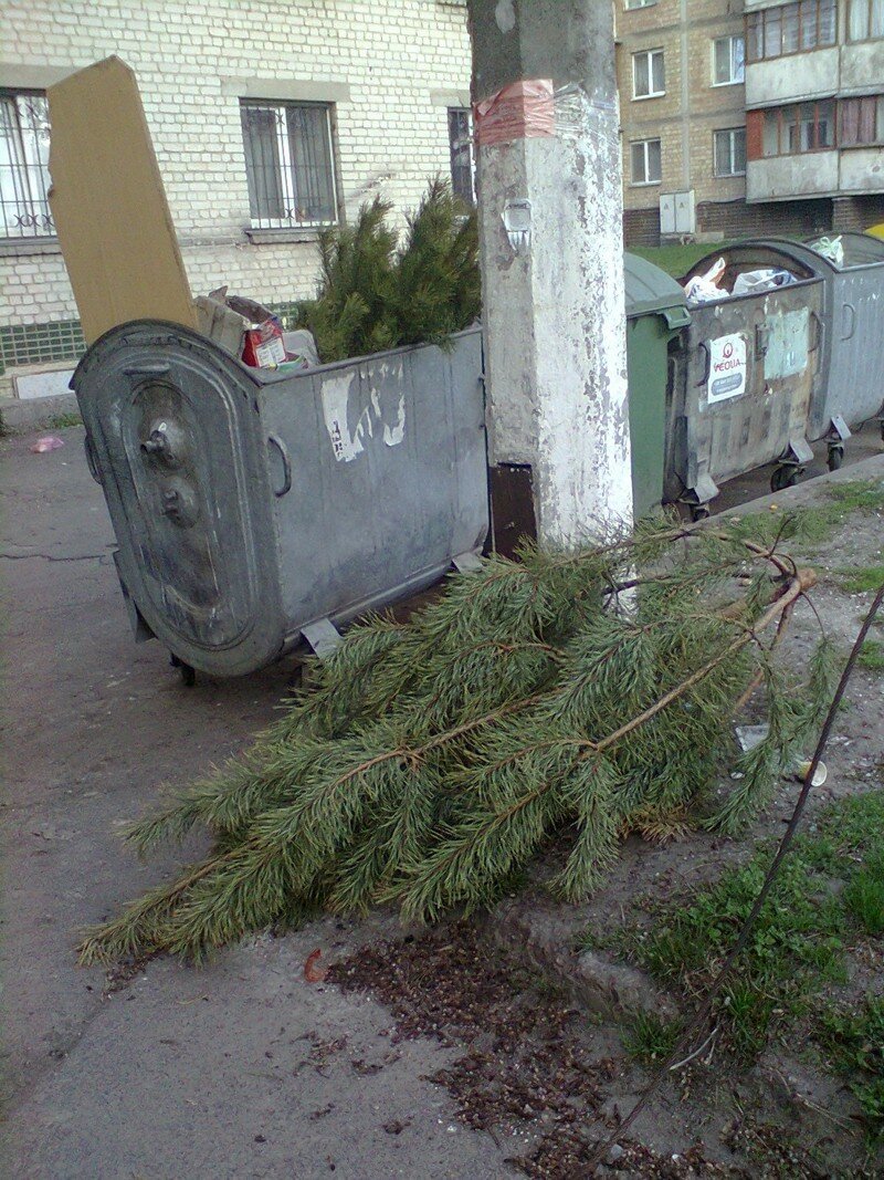 Ну вот ещё один сдался, а ведь до Нового Года осталось всего ничего