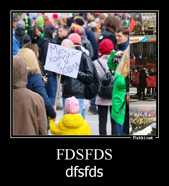 fdsfds