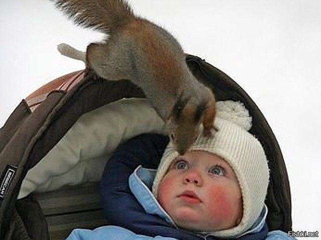 спойной ночи