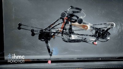 Робот, который умеет бегать без мозгов