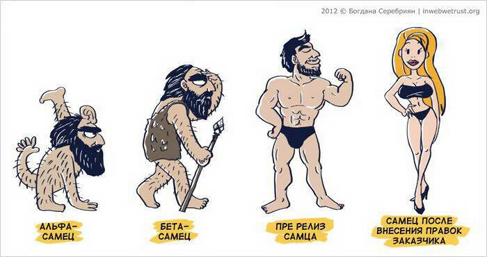 Исполнитель и ТЗ