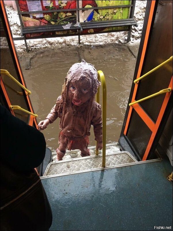 Солянка
