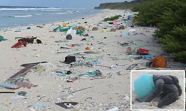 Райский остров превратился в самое загрязненное место на планете