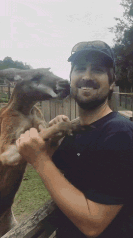 Эта кенгуру очень любит обниматься