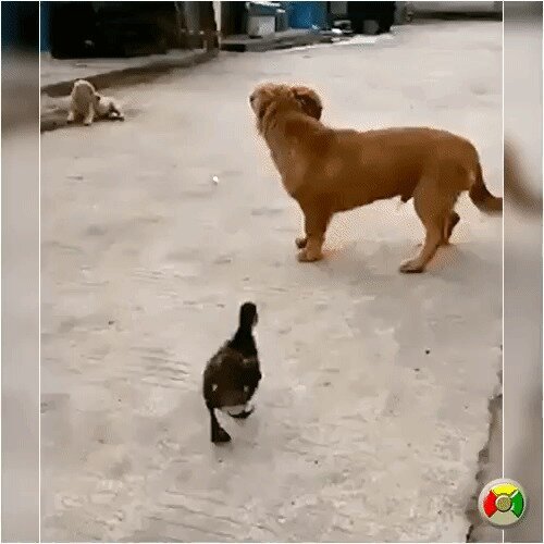 Нечего без трусов гулять