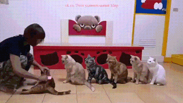 Живая очередь