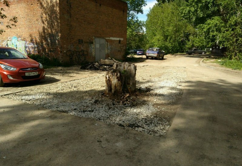 В Екатеринбурге заасфальтировали старый пень посреди дороги