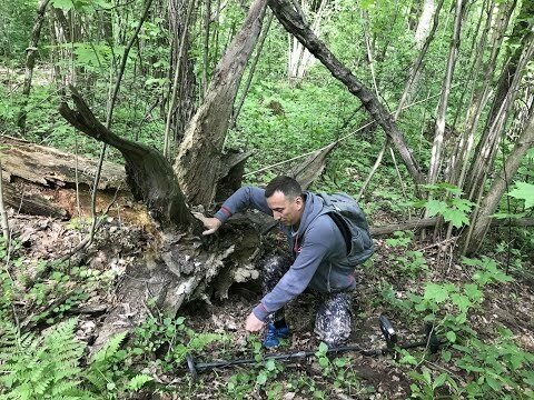 Находки под корнем 100-летнего дерева!) 2 часть