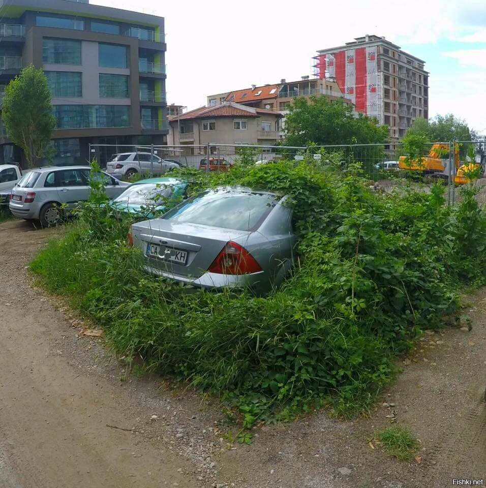 Солянка