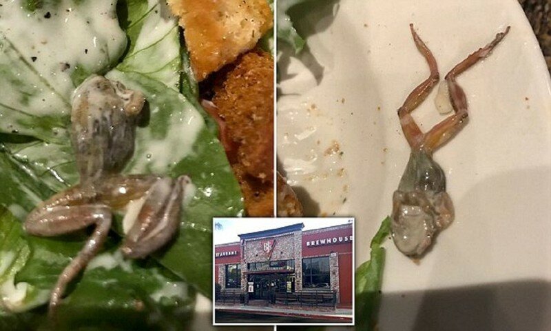 Жительнице Калифорнии в ресторане подали дохлую лягушку