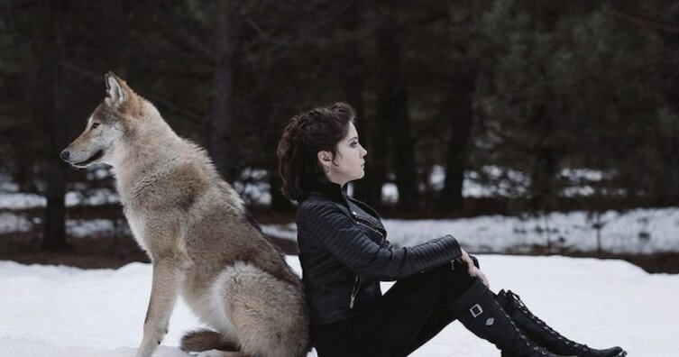 Фотограф сумела раскрыть истинную красоту волков