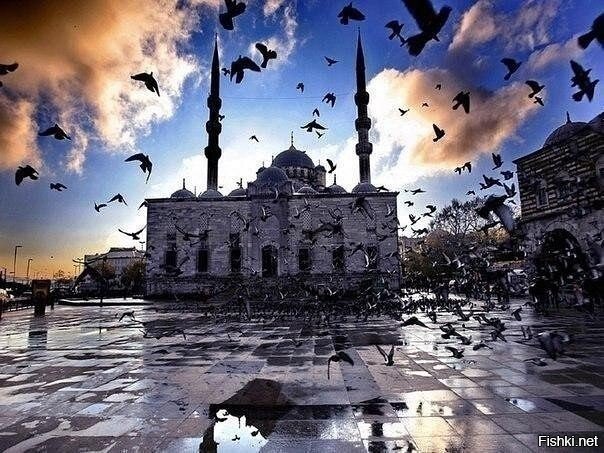 Что бы не говорили, а Стамбул красивый и интересный город