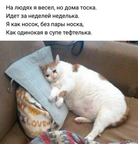 Солянка