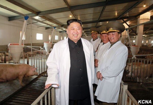 Ким Чен Ын проведал завод по переработке свиней
