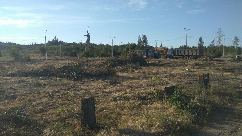 Парк сталинградских вдов у Мамаева кургана вырубили ради парковки