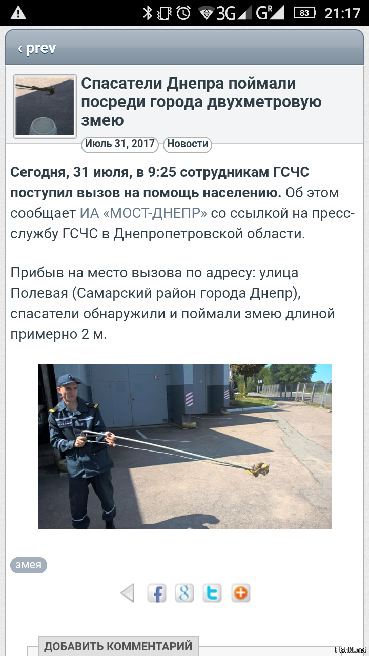 Какой анонс, какой слог