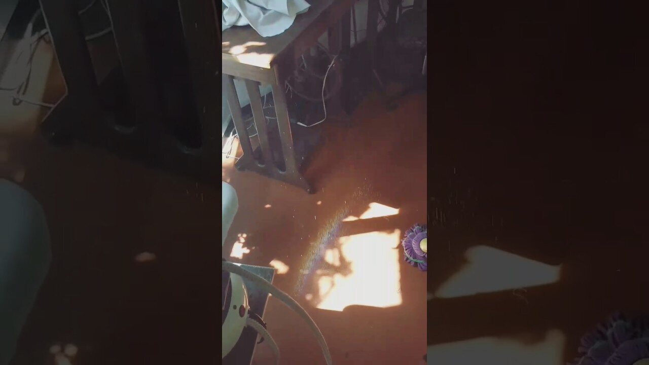 мама вытерла радугу