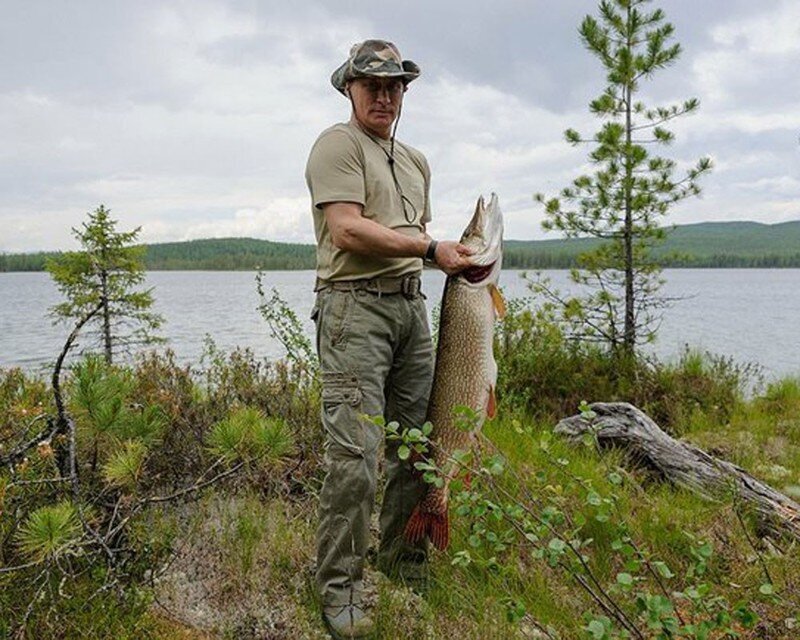 Путин и щука. Быль