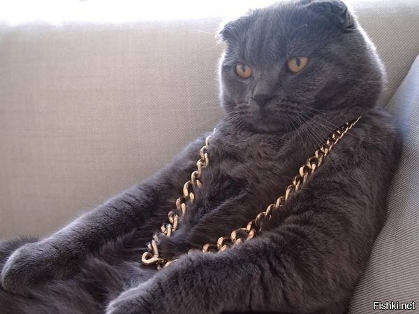 Котэбарон