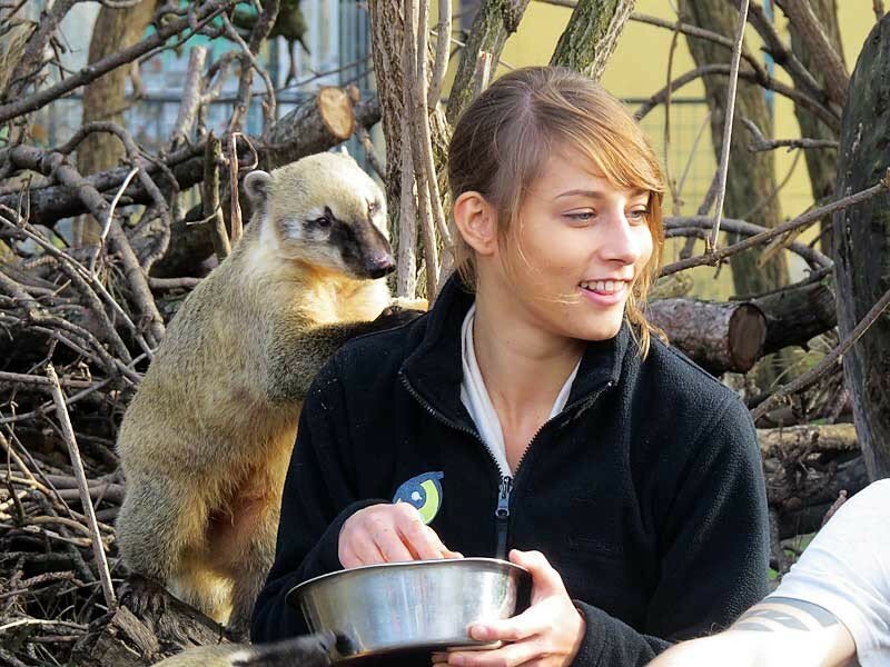 Шёнбрунн. Как живёт старейший зоопарк в мире