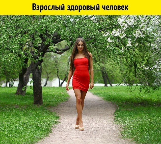 Как видят наш мир люди в 15 разных состояниях