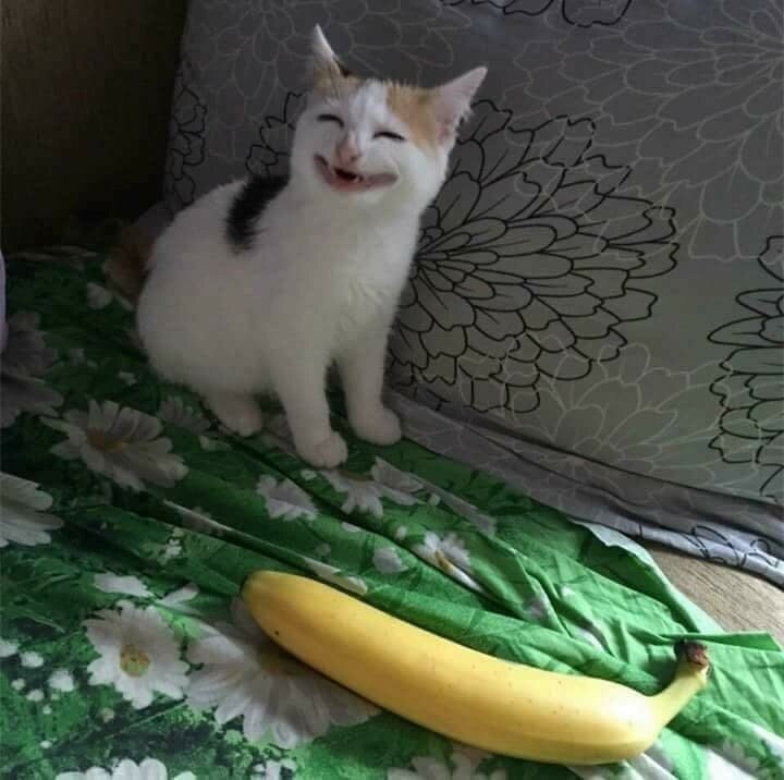 Что внутри у этого банана !?