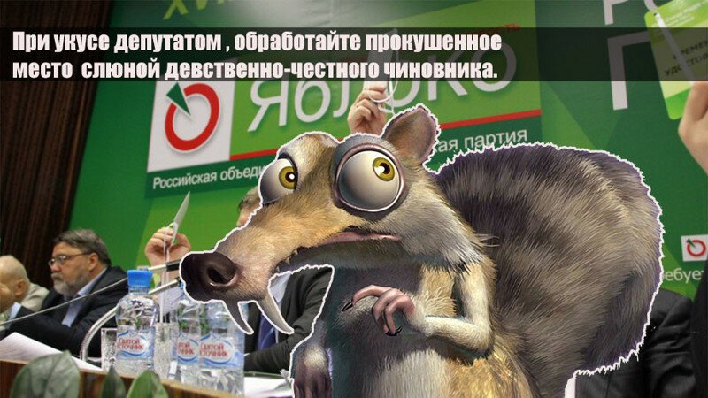 Кандидат в муниципальные депутаты покусал членов участковой комиссии