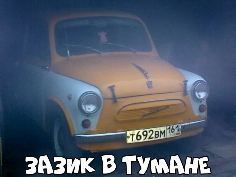 Автовсячина