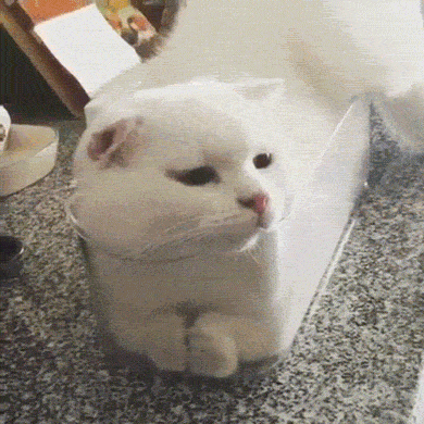 Нашел свое идеальное место
