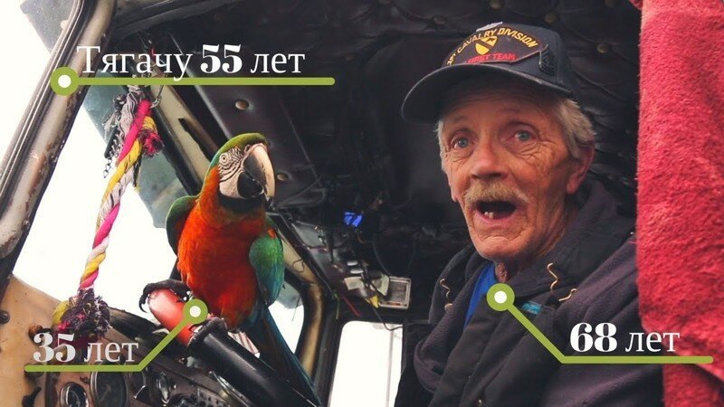 Старик-дальнобойщик с попугаем на старом траке