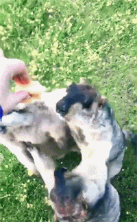 Урвать кусочек