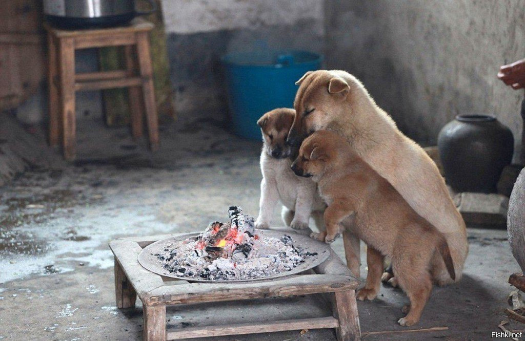 Теплооо