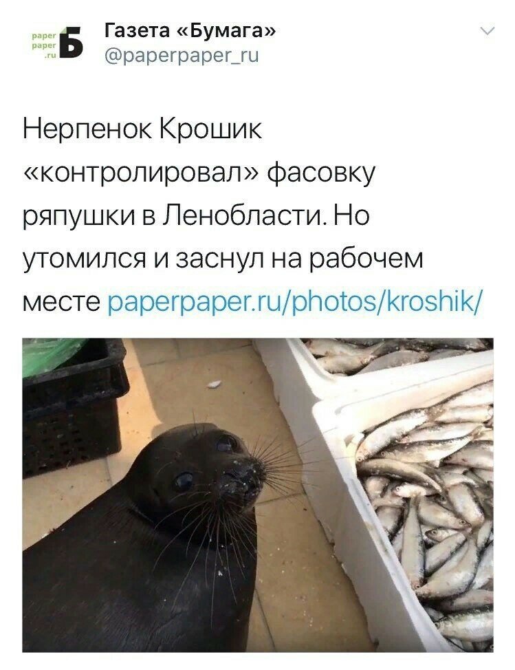 Новости ,которые мы заслужили